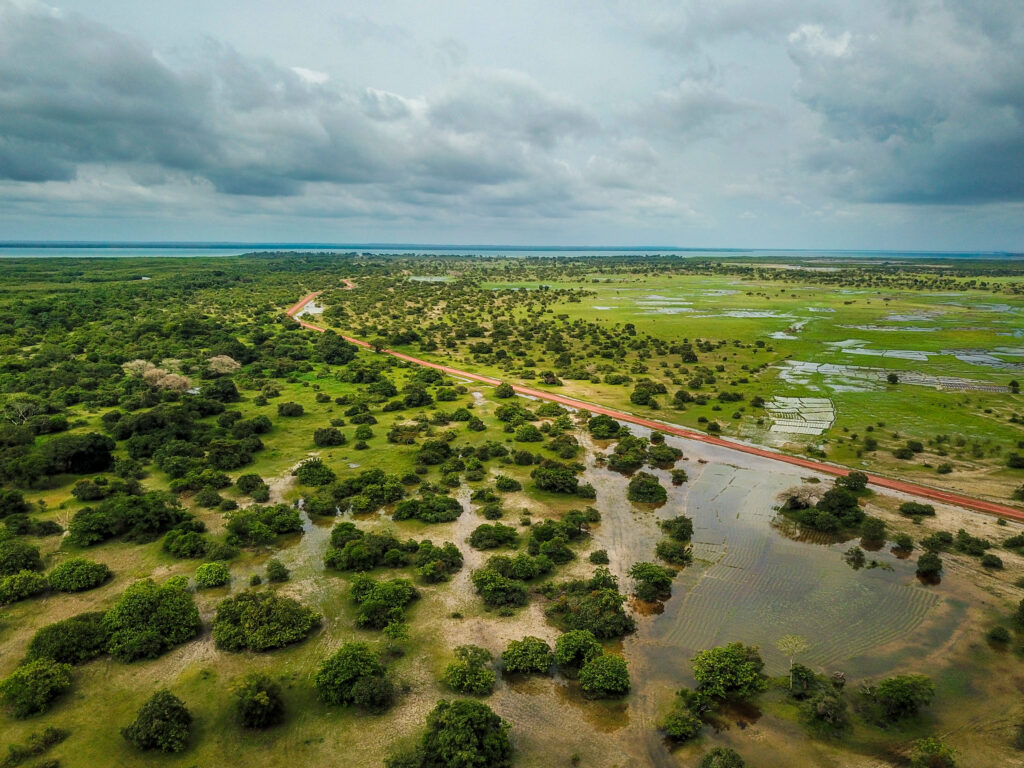 Casamance Complète - Circuit 10 jours / 9 nuits